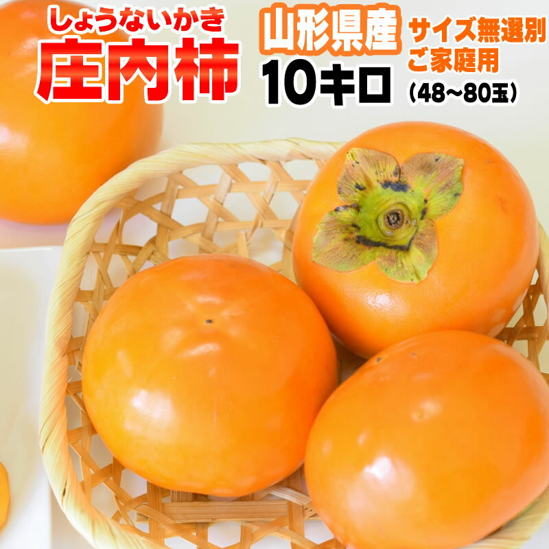 予約販売 庄内柿 訳あり ご家庭用 山形県産 送料無料 無選別 種なし 10kg 48-80玉入り[庄内柿10キロ]