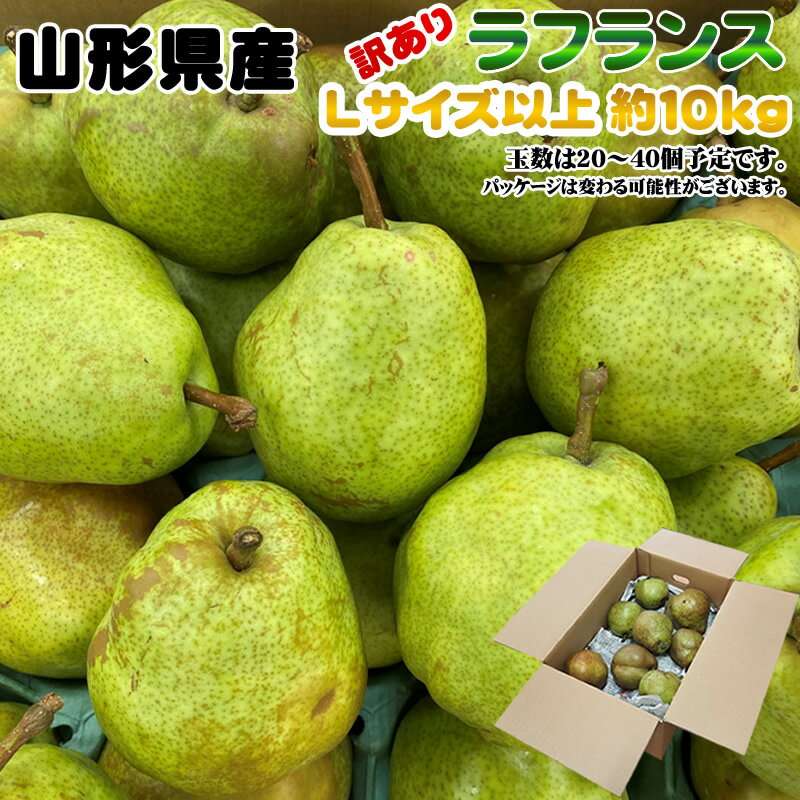 11月上旬〜12月中旬発送 訳あり ご家庭用 山形県産 洋ナシの女王ラフランス Lサイズ以上・約10kg 20〜40玉入 送料無料 [ご家庭用ラフランスL10キ...
