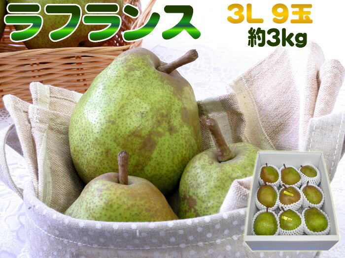 大玉3L・9玉・約3kg 山形県産洋梨 洋ナシの女王ラフランス 送料無料 [ラフランス3L3キロ]