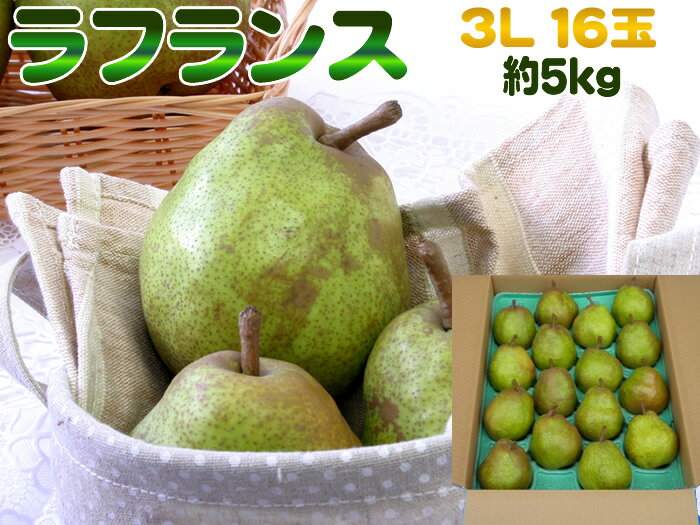 大玉3L・16玉・約5kg 山形県産洋梨 洋ナシの女王ラフランス 送料無料 [ラフランス3L5キロ]