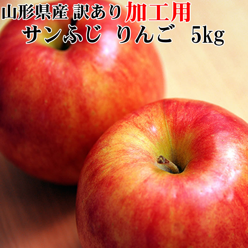 ͽ12ܤꤴͽȯ ù   դ 5kg ̵  㤤 塼 [ùѤ5]