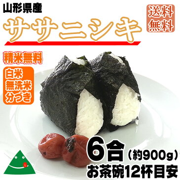 米 お米 ササニシキ 900g 6合 令和元年産 山形県産 お米 白米 無洗米 分づき 玄米 お好み精米 送料無料 当日精米 お試し ポイント消化 真空パック メール便