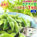 【予約販売】生だだちゃ豆 訳あり 山形県鶴岡市産 バラ 1キロ 8月上旬からご注文順次発送 クール便 冷蔵 枝豆 本場鶴岡 ご当地 送料無料 [生だだちゃ豆 バ...