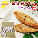 笹かまぼこ 牛タン入り 32g×20袋 常温 お取り寄せ おつまみ 送料無料 メール便 YP  即送