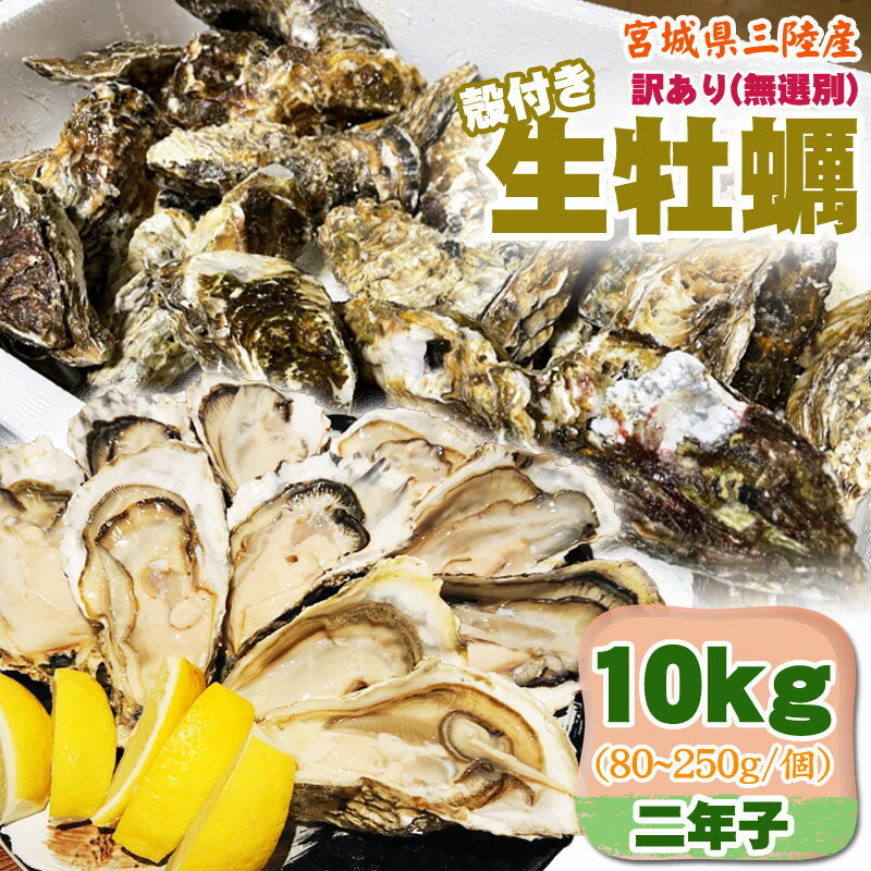 訳あり 生牡蠣 10kg 無選別 宮城県三陸産 殻付き 冷蔵 お取寄 おうちグルメ 送料無料 [訳あり 無選別 三陸産生牡蠣10キロ 二年子]