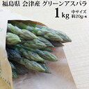 予約販売 アスパラガス 中サイズ 1kg 1本あたり約20g 福島県 喜多方産 会津アスパラ 田中農園 クール便 冷蔵 産地直送 収穫日に当日発送 鮮度抜群 送料無料 [会津アスパラMサイズ1kg] 4月上旬～順次発送