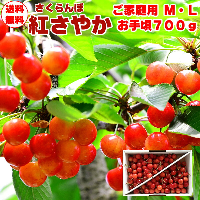 予約販売 5月末～6月上旬 訳あり・ご家庭用 山形県産 さくらんぼ 紅さやか M・L700...