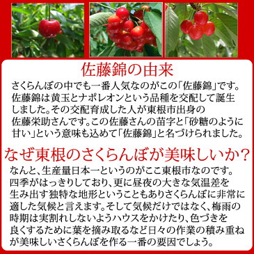 【予約販売】【送料無料】【訳あり・ご家庭用】山形県東根産さくらんぼ佐藤錦バラ詰め M・L700g[佐藤錦ご家庭用ML700グラム]