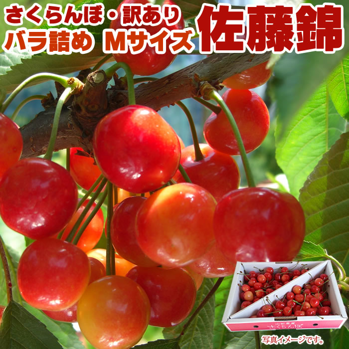 佐藤錦 - 予約販売 6月上旬より順次発送さくらんぼ ご家庭用 佐藤錦 Mサイズ700g クール便【送料無料(九州・沖縄県を除く)】訳あり 山形県産 [サクランボ 佐藤錦ご家庭用Mサイズ 700g]