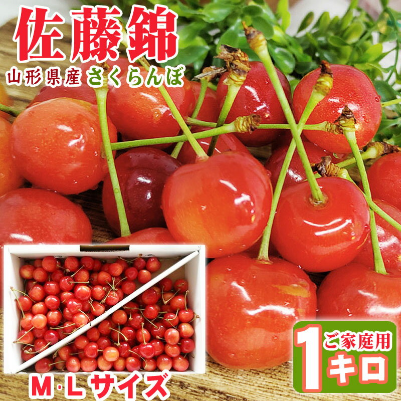 予約販売 さくらんぼ ご家庭用 佐藤錦 M・L1kg（クール