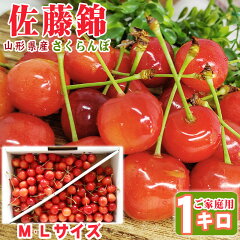 https://thumbnail.image.rakuten.co.jp/@0_mall/agripartner/cabinet/cherry/sato/imgrc0154575851.jpg