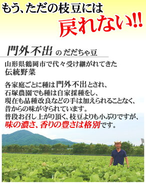 【冷凍】【半茹で】本場鶴岡 だだちゃ豆1kg【送料無料(沖縄県・離島の除く)】[冷凍だだちゃ豆500g×2袋]