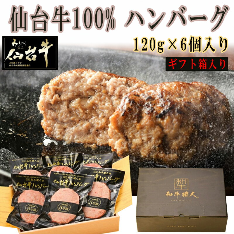 仙台牛 最高級 100％ハンバーグ120g×6
