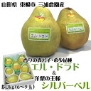 【送料無料】【山形県産東根市産】【香りの貴公子 エルドラド、...