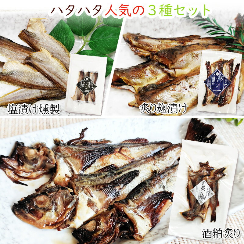 ハタハタ 鰰 人気の3種セット (炙り麹漬け 塩漬け燻製 ...