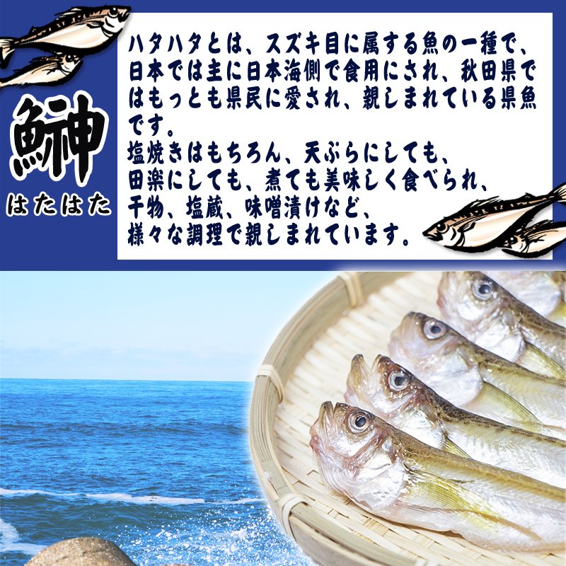 ハタハタ 鰰 おつまみ おやつ 酒の肴 国産 日本海産 秋田名物 保存食 備蓄 非常食 産地直送 [酒粕炙りハタハタ 1袋 3尾 S1] 送料無料 メール便 YP 即送 3