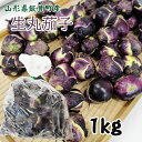予約販売 7/20より順次発送 生丸茄子 生1kg 薄皮丸茄子 梵天丸茄子 山形県飯豊町産 クール便 なす