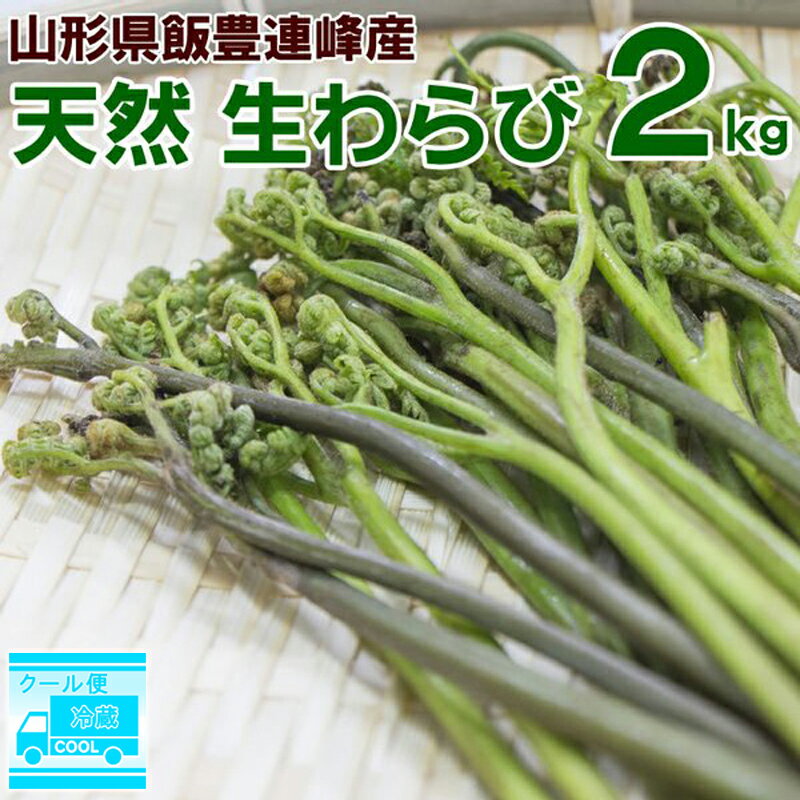 わらび (生) 2kg (1kg×2束) 天然 山形県産 飯豊連峰 朝採り 山菜 産地直送 送料無料 飯豊町