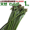 予約販売 5月15日頃よりご予約順次発送 わらび あくぬき済 1kg 天然 山形県産 飯豊連峰 朝採り 山菜 産地直送 送料無料 冷蔵便 飯豊町