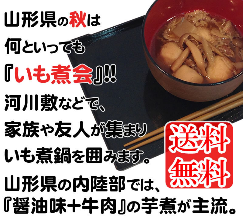 【送料無料】【メール便】山形の風物詩[いも煮460g]（味噌汁椀で約2杯分）