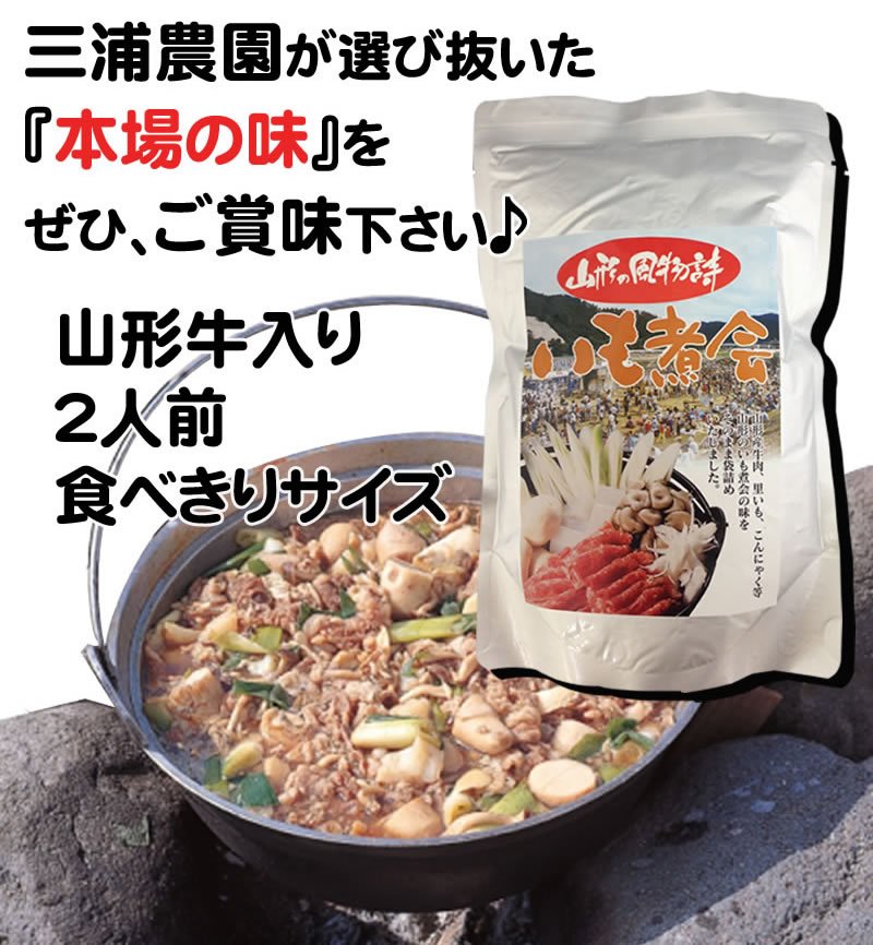 【送料無料】【メール便】山形の風物詩[いも煮460g]（味噌汁椀で約2杯分）