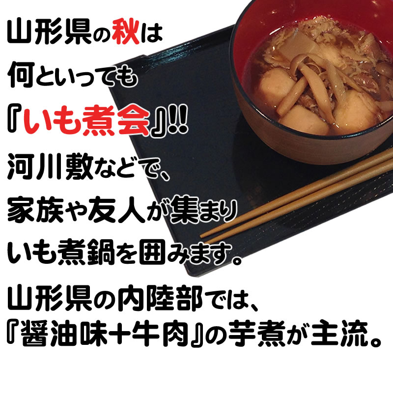 【送料無料】山形の風物詩[いも煮460g×10袋]（味噌汁椀で約20杯分）