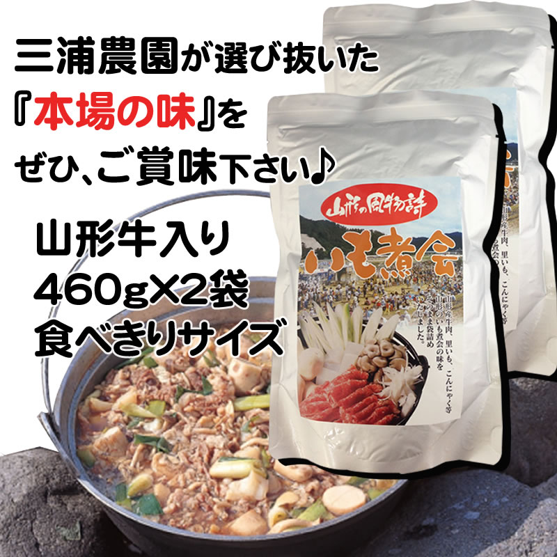 【送料無料】山形の風物詩[いも煮460g×10袋]（味噌汁椀で約20杯分）