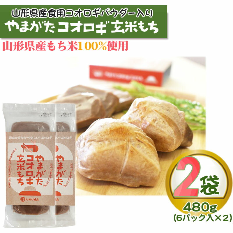 昆虫食 山形県産 こおろぎ 玄米餅 480g (6個入り×2) パウダー 食用 食育 切り餅 もち 送料無料 ポイント消化 メール便 YP [山形コオロギ玄米もち2箱 L3] 即送