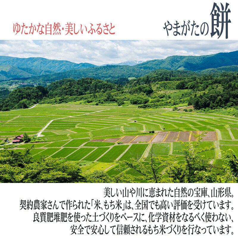 [餅はやまがた　生きり餅　400g×1袋 BY3] 杵つき餅 切り餅 お買い得 お徳用 送料無料 業務用可能 お試し お手軽 ポイント消化 山形 メール便 YP 即送