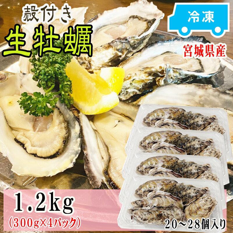 牡蠣 瞬間冷凍 レンジでチン 国産 宮城県産 1.2kg 20～28個入り (300g×4パック) 加熱用生牡蠣 お試し 冷凍 お取り寄せ おうちグルメ 肉厚 時短 送料無料 殻付き [加熱用生牡蠣4袋 宮城県産] ship-sd