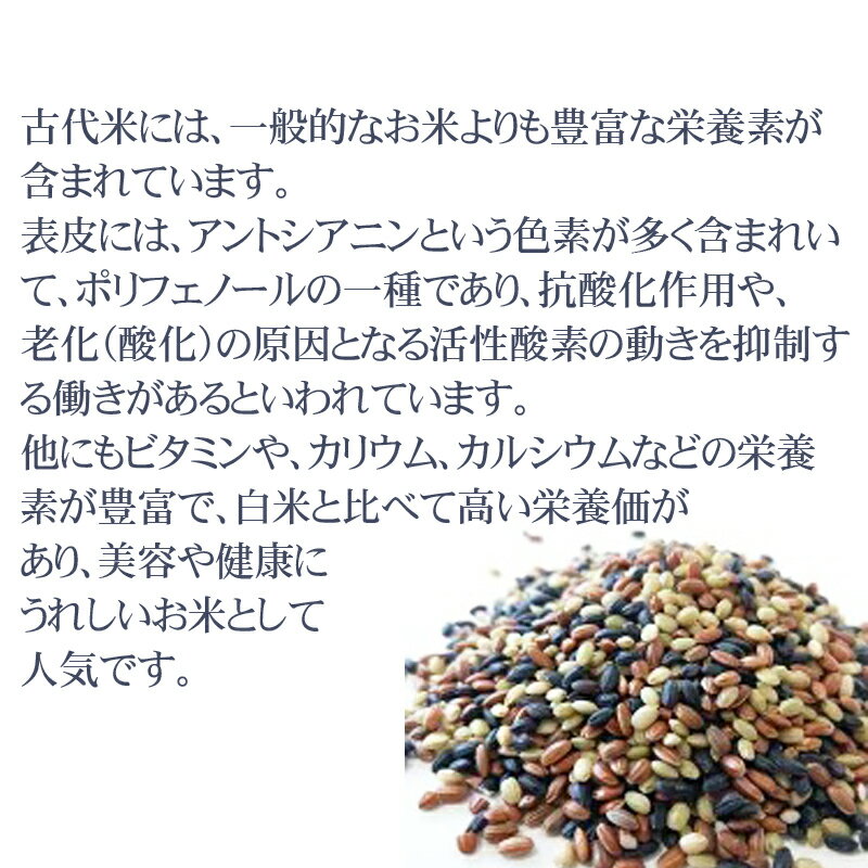 【ふるさと納税】【令和7年産米】てんこもり5kg【1623581】