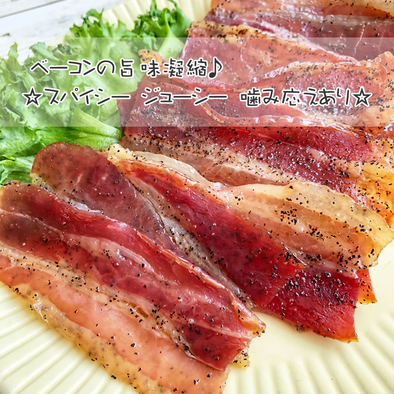 ベーコンジャーキー100g×15袋 おつまみ カルパス,サラミ,ドライソーセージ好きな方必見 珍味 訳ありではなく正規品 送料無料 おやつ ポイント消化 山形 100g×15袋 セット 大容量 ギフト可 [ベーコン100g×15袋] 即送