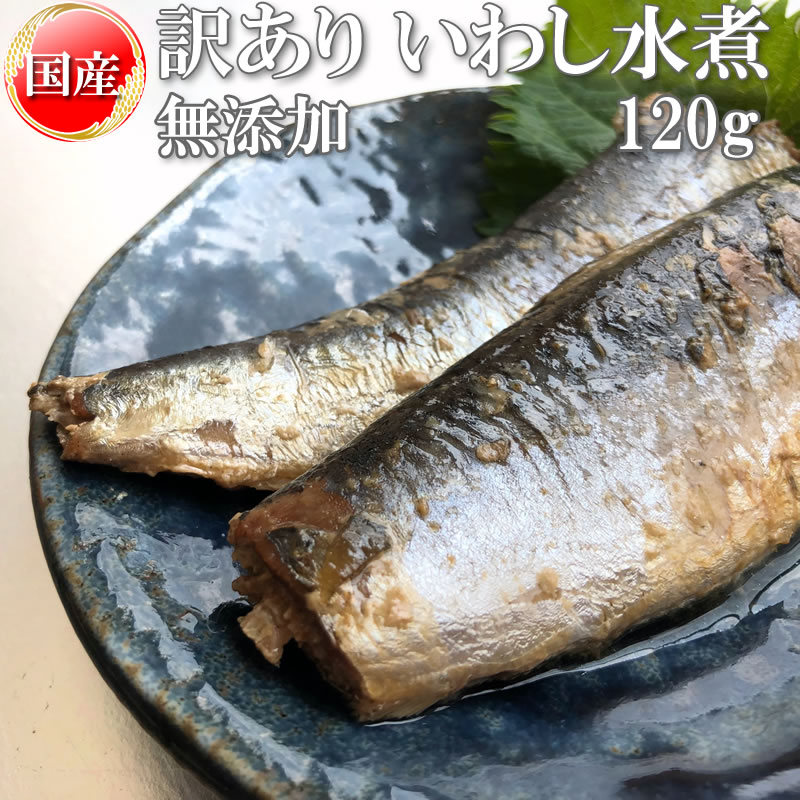 いわし 水煮 無添加 国産 120g 訳あり メール便 送料無料[いわし水煮120g BS] NP 即送