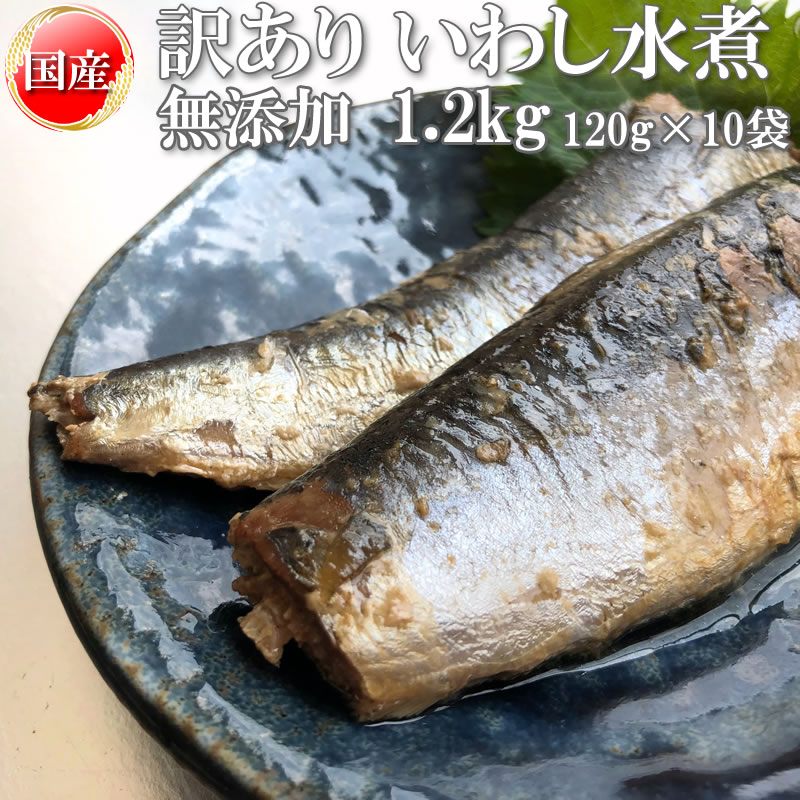 送料無料 いわし 水煮 無添加 国産 1200g(120g×10) 訳あり ギフト可 [いわし水煮120g×10袋] 即送