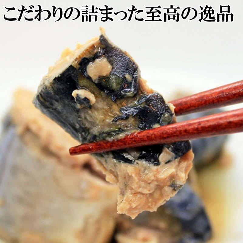 さば 水煮 無添加 国産 1.3kg (130g×10袋) 訳あり 送料無料 業務用 大量[さば水煮130g×10袋] 即送 2