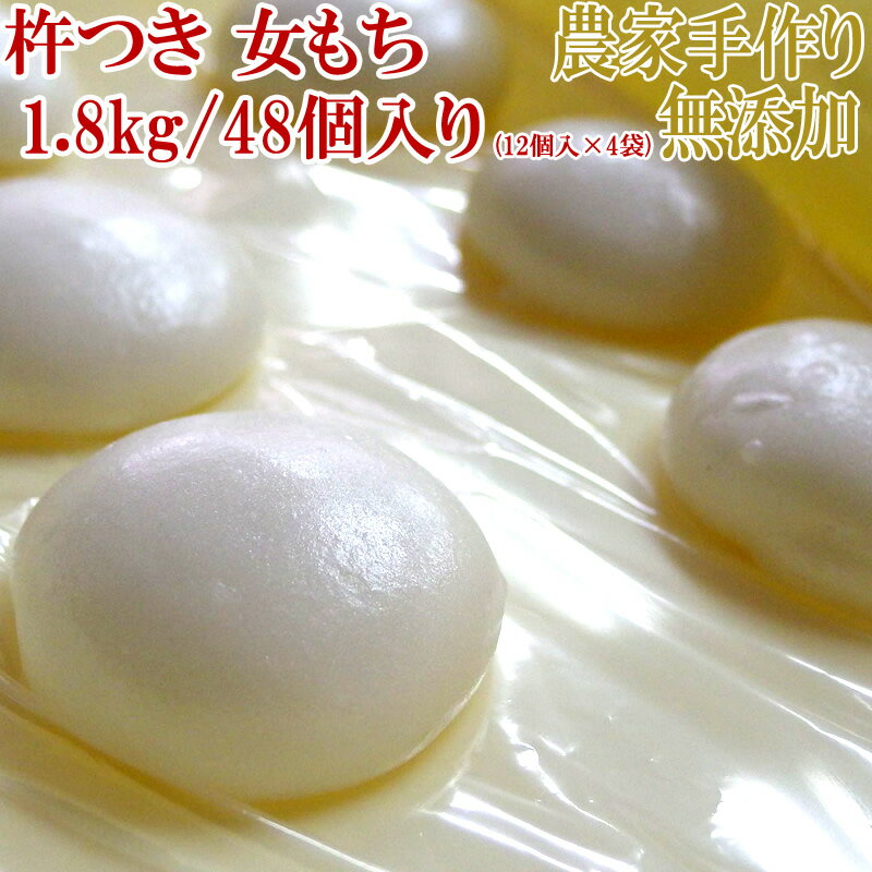 予約販売 杵つき餅 切り餅 無添加 1.8kg 48個入 12個入×4袋 お買い得 お徳用 送料無料 業務用可能 山形 [女もち4袋]のサムネイル