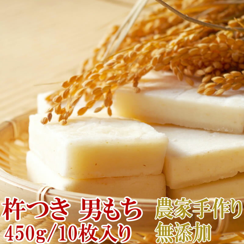 杵つき餅 切り餅 無添加 450g 10個入り お買い得 お徳用 送料無料 業務用可能 お試し お手軽 ポイント消化 山形 メール便 [男もち1袋]