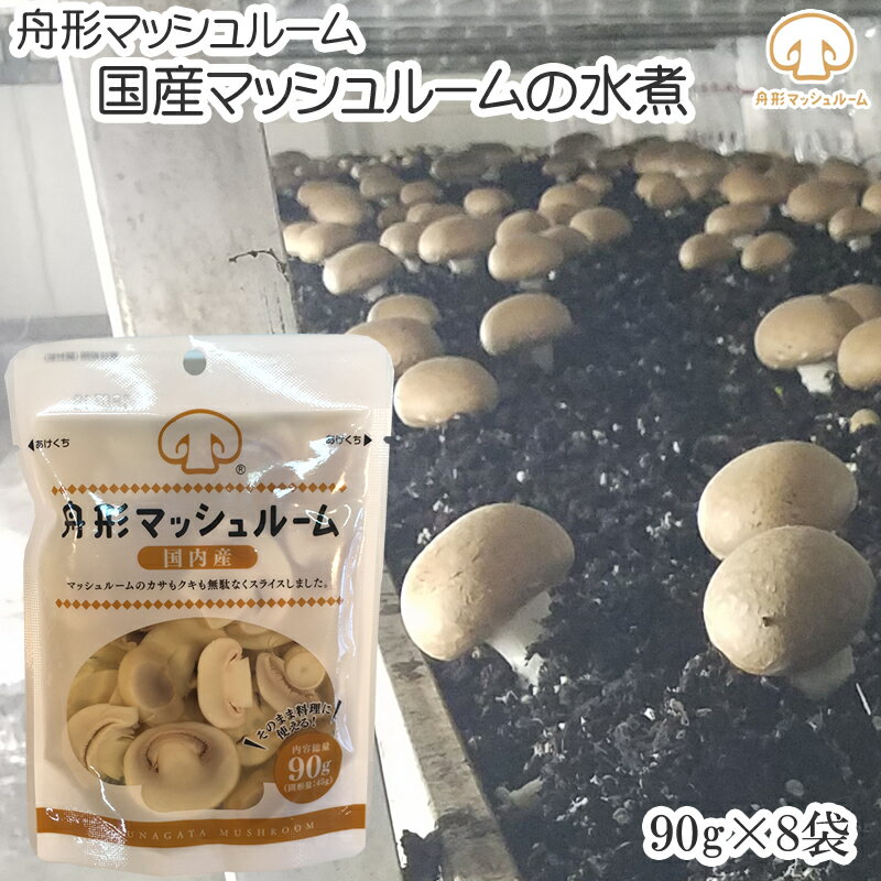 天然きのこ　Kaiyo様ご連絡　専用 北海道産天然落葉キノコ🍂 500g (冷蔵発送のみ) | おたる夢市場