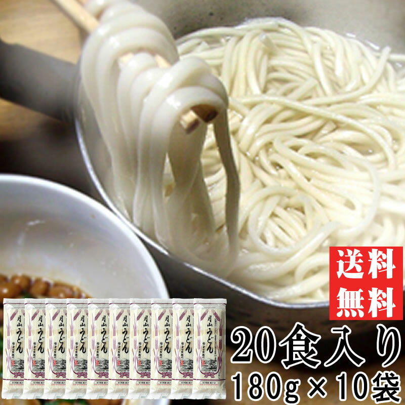 送料無料 月山うどん 20人前 180g×10袋 ギフト可 [月山うどん180g×10袋] 即送