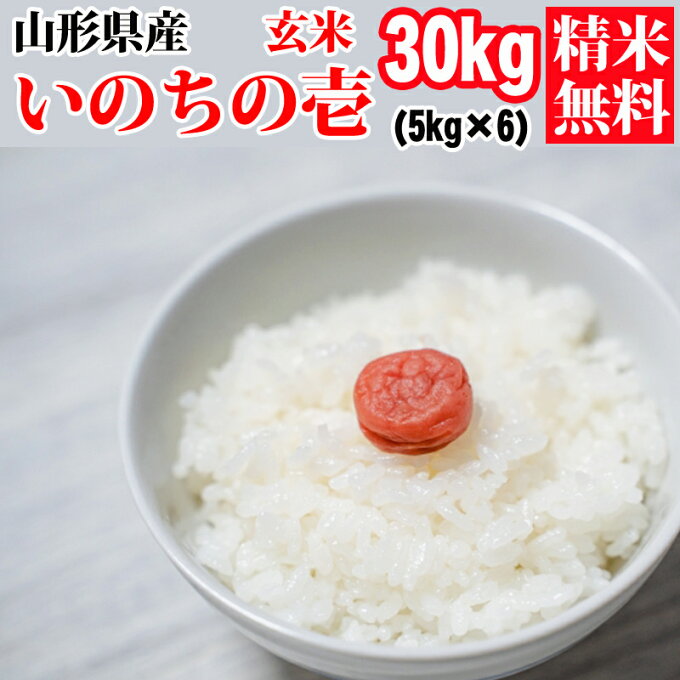 米 玄米 30kg いのちの壱 5kg×6袋 令和4年産 山形県産 精米無料 白米 ...