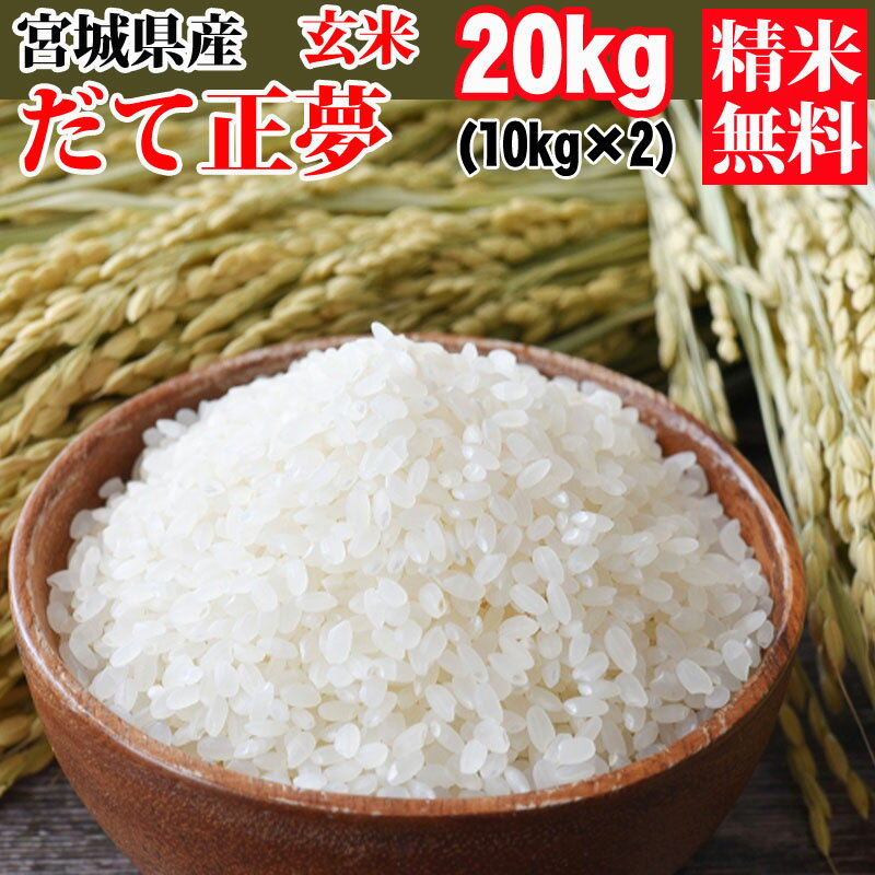 米 玄米 20kg (10kg×2袋) だて正夢 令和5年産 宮城県産 精米無料 白米 無洗米 分づき 当日精米 送料無料のサムネイル