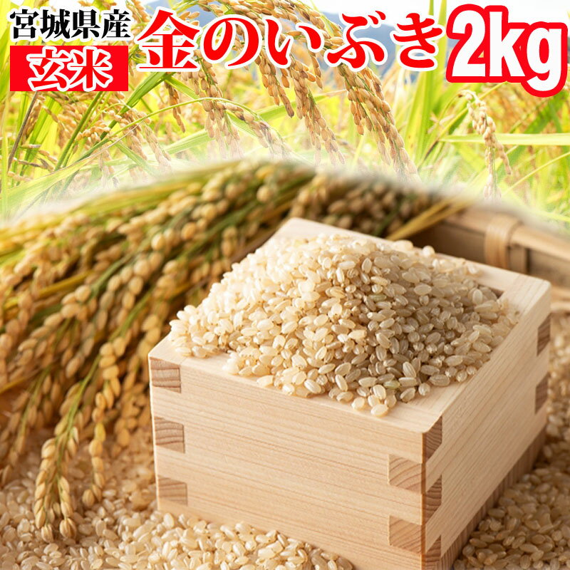   2kg Τ֤ 6ǯ ܾ븩 ̵