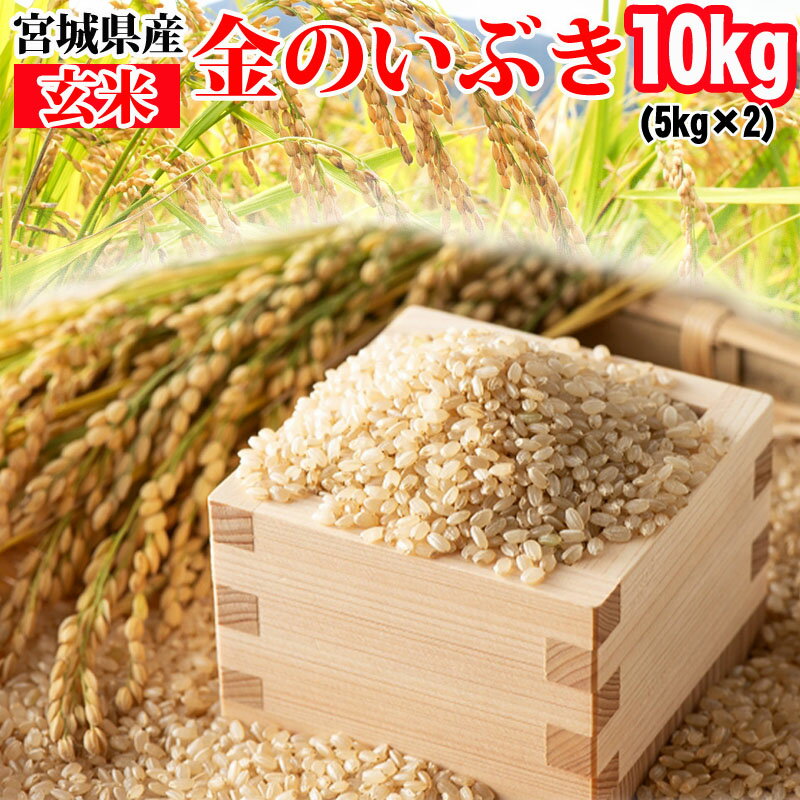 米 玄米 10kg (5kg×2袋) 金のいぶき 令和6年産 宮城県産 送料無料