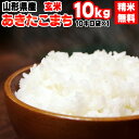 米 玄米 10kg あきたこまち 10kg×1袋 令和2年産 山形県産 精米無料 白米 無洗米 分づき 当日精米 送料無料