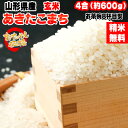米 お米 あきたこまち 600g 4合 令和6年産 山形県産 お米 白米 無洗米 分づき 玄米 お好み精米 送料無料 当日精米 お試し ポイント消化 真空パック...