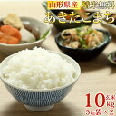 米 玄米 10kg あきたこまち 5kg×2袋 令和5年産 山形県産 精米無料 白米 無洗米 分づき 当日精米 送料無料