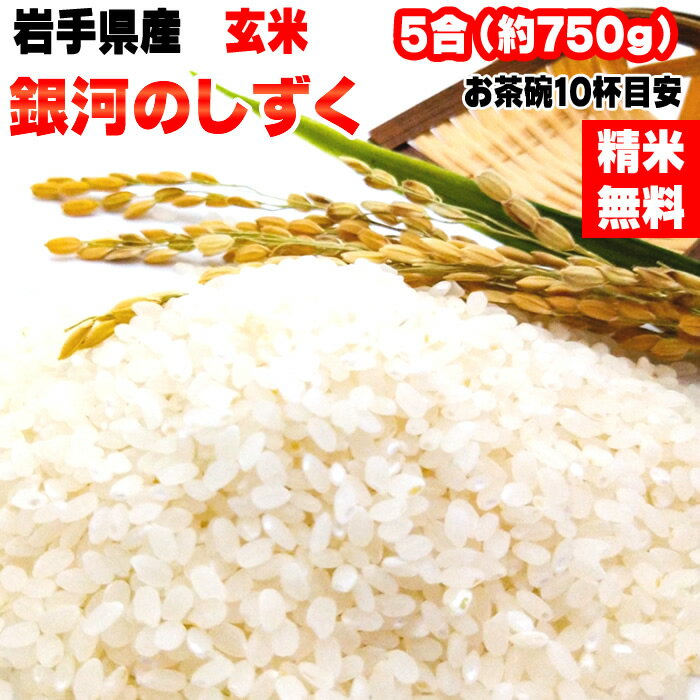 米 お米 銀河のしずく 750g 5合 令和5年産 岩手県産 お米 白米 無洗米 分づき 玄米 お好み精米 送料無料 当日精米 お試し ポイント消化 真空パック メール便 YPのサムネイル