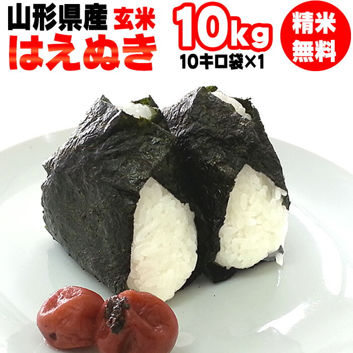 【送料無料】令和元年度産 山形県産はえぬき 玄米 10kg （10kg袋×1）【白米...