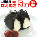 【送料無料】令和元年度産 山形県産 お米はえぬき 玄米 5kg【白米・無洗米・分づき】