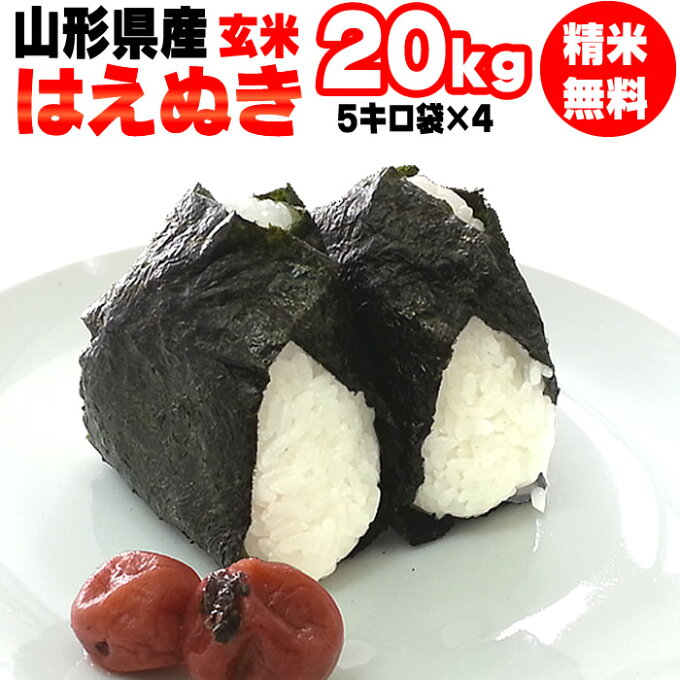 【新米】【送料無料】令和元年度産　山形県産はえぬき　玄米　20kg(5kg袋×4)【...